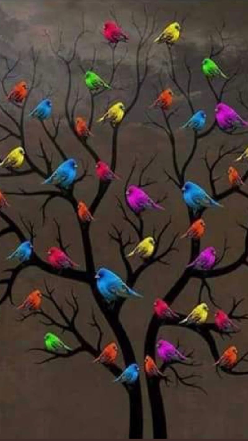 Good morning, bird, colors, HD phone wallpaper | Peakpx