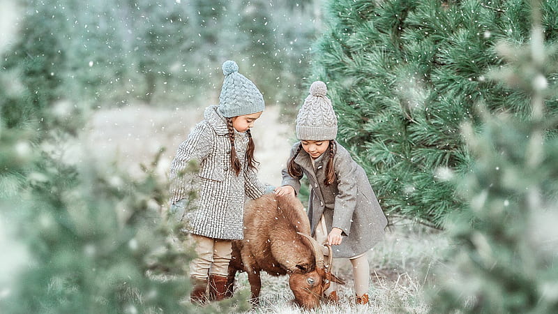 Cute Small Children With Goat During Snow Falling Cute, HD wallpaper