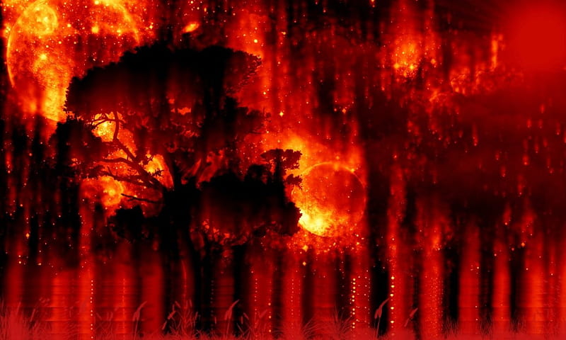 Fire lake, fire, tree, moon, lake, HD wallpaper