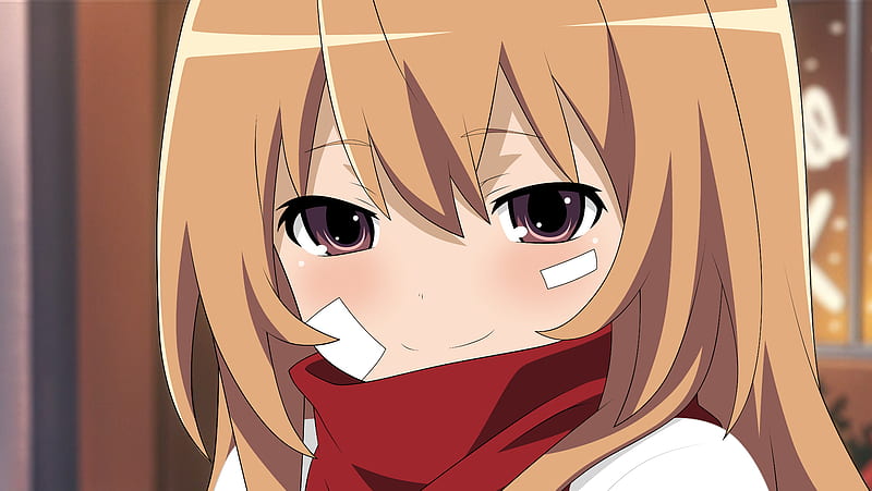 Toradora! HD Wallpaper  Toradora, Papel de parede hd