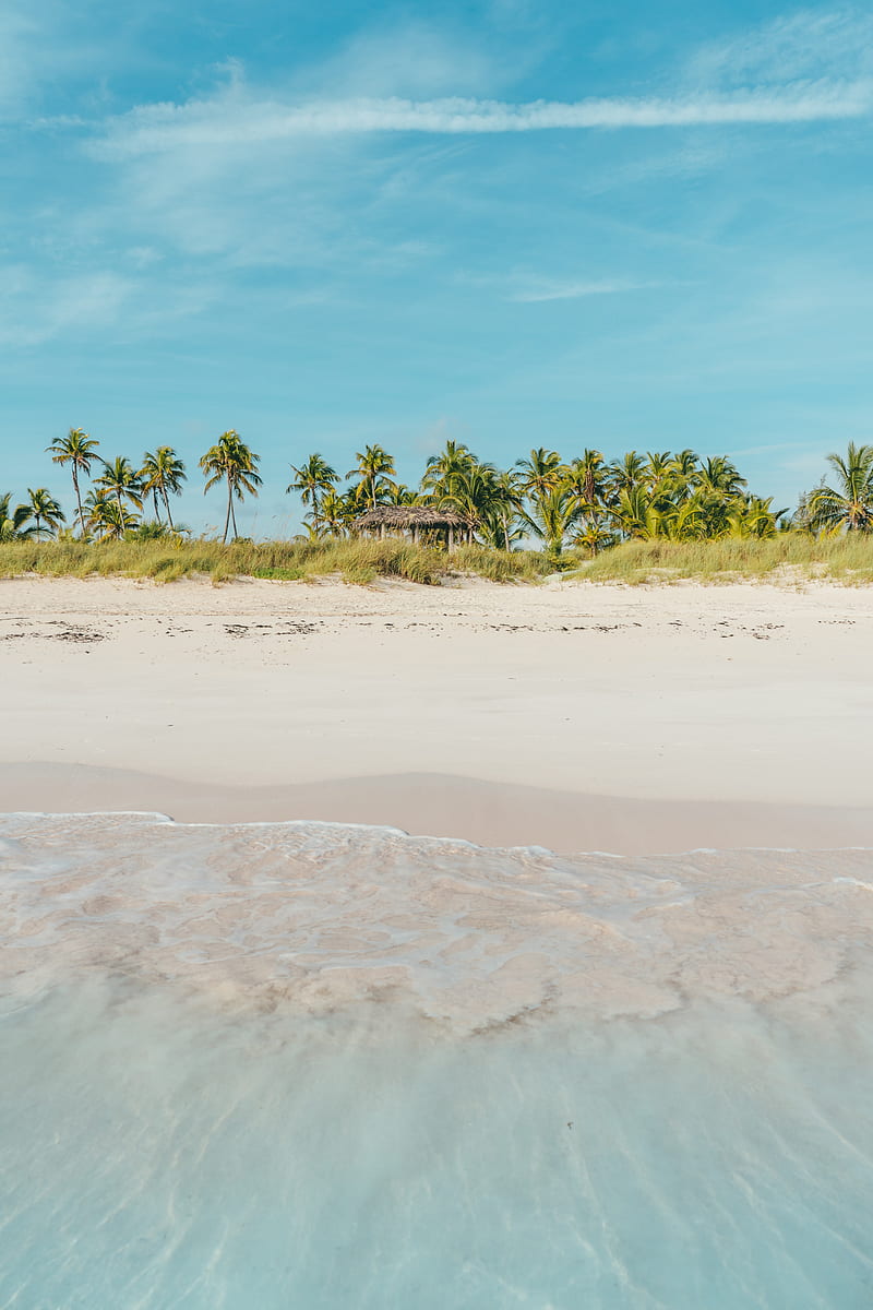 beach, ocean, palm trees, tropics, shore, HD phone wallpaper