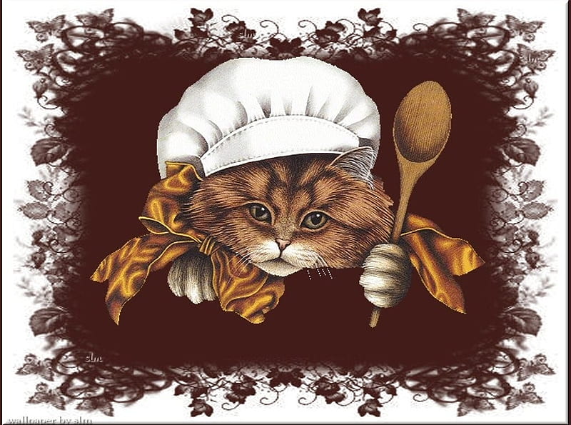 Chef cat, cock, kitten, cat, spoon, HD wallpaper
