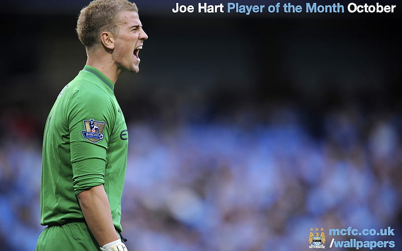 Joe Hart-Manchester City FA Premier League 2012-13, HD wallpaper
