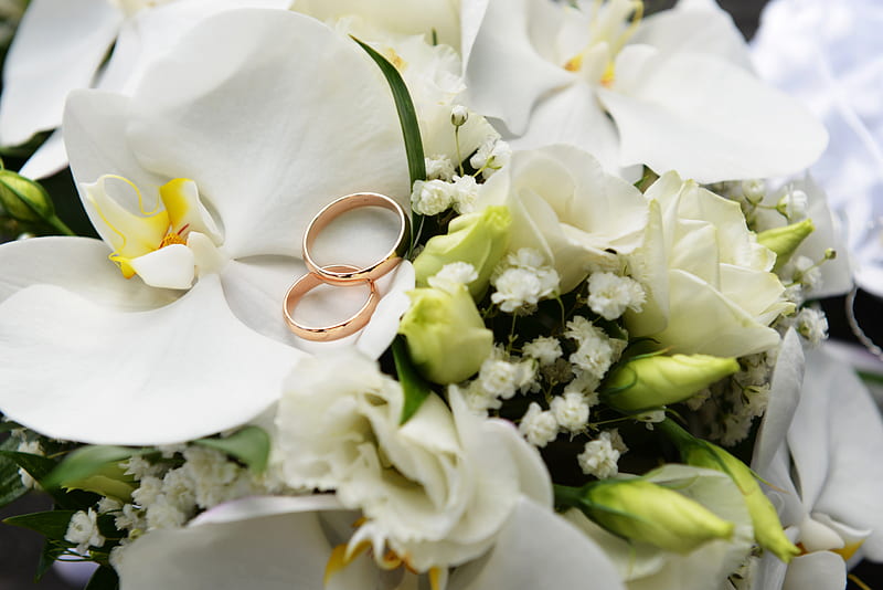 Wedding rings, rings, special days, bouquet, flowers, white, wedding, HD wallpaper