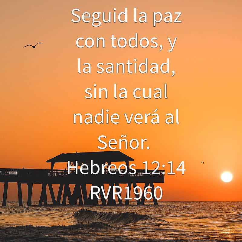 Biblia, dios es amor, quotes, HD phone wallpaper