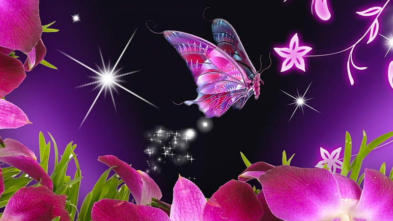butterfly, flowers, butter, fly, pink, HD wallpaper