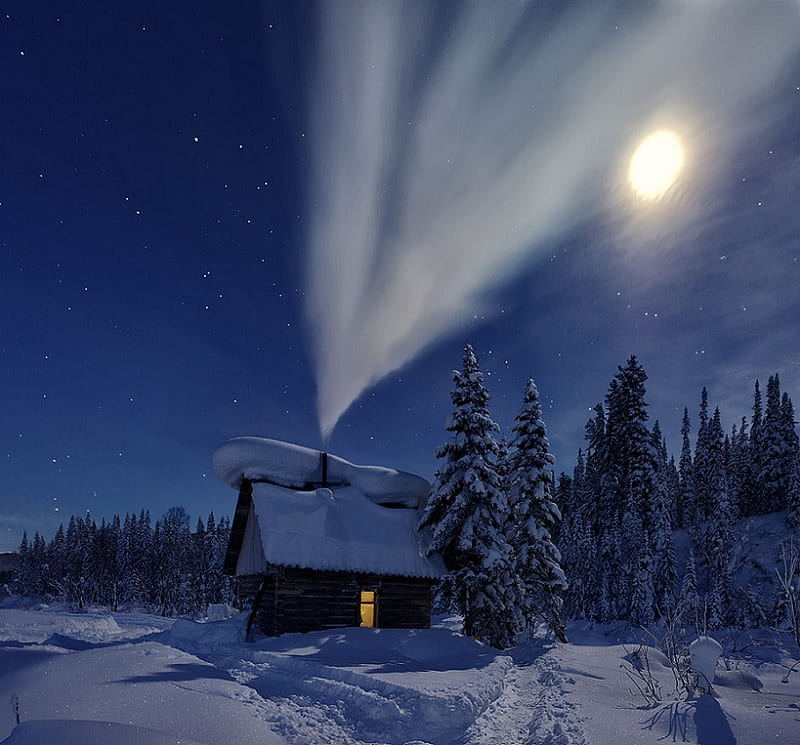 winter nightscape, house, trees, winter, moon, snow, nature, smoke, chimney, landscape, HD wallpaper