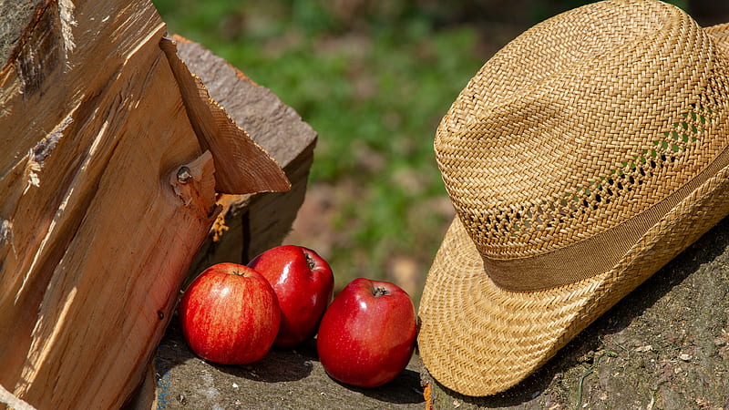 Fruits, Apple, Firewood, Fruit, Hat, HD wallpaper
