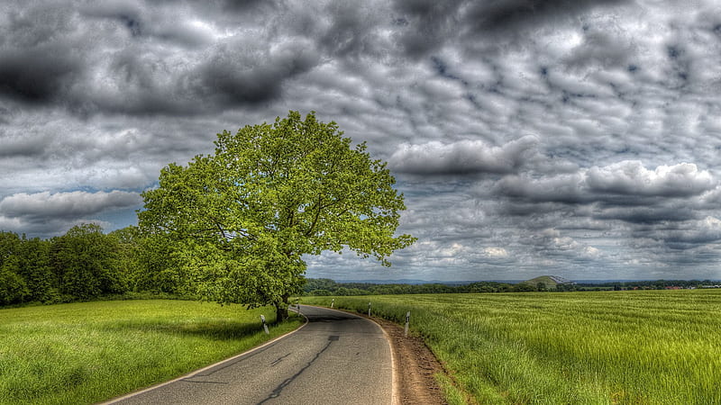 rural road r, tree, r, road, clouds, field, HD wallpaper