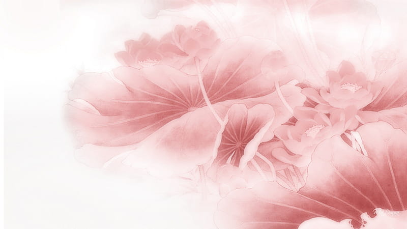 Lotus Blossom Bliss, lotus, flower, abstract, meditate, fade, blossom, visionary, oriental, spa, flower, blooms, pink, light, HD wallpaper