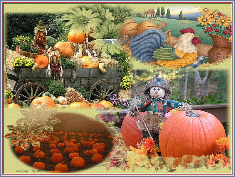 Happy Fall Ya'll from me, fall, autumn, halloween, scarecrow, chickens, thanksgiving, pumkins, HD wallpaper