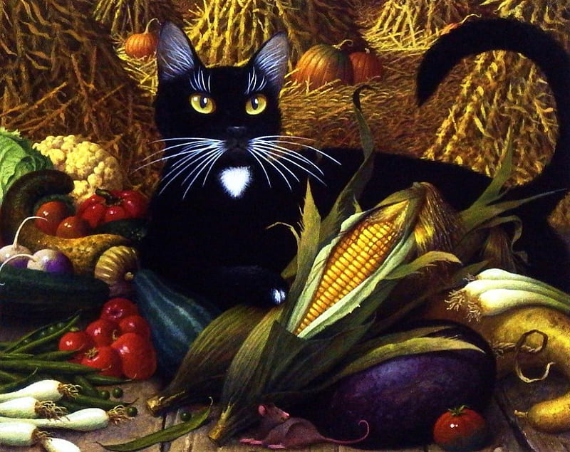 Seasons Greetings, corn, black, cat, straw, artwork, tomatoes, cob, painting, pumpkins, HD wallpaper
