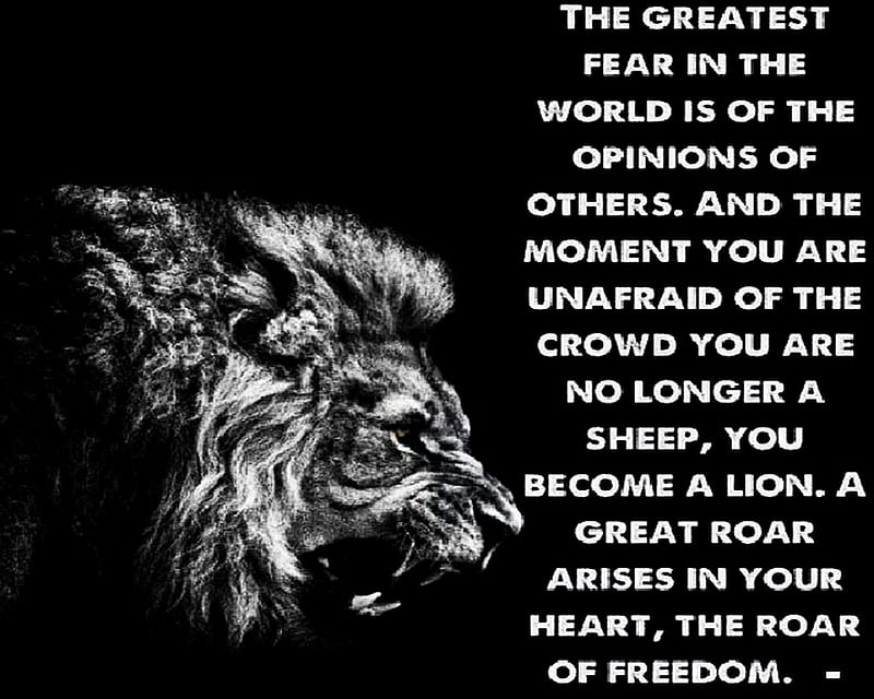 dom, fear, greatest, heart, lion, opinion, roar, world, HD wallpaper