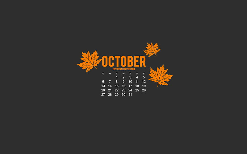 2019 October Calendar, minimalism style, gray background, autumn, 2019 calendars, Gray 2019 October Calendar, creative art, HD wallpaper
