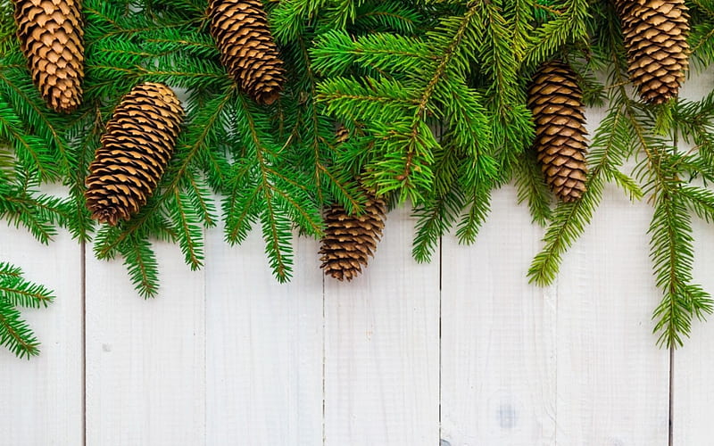 Happy Holidays!, craciun, christmas, pine cone, new year, card, green, fir, white, wood, HD wallpaper