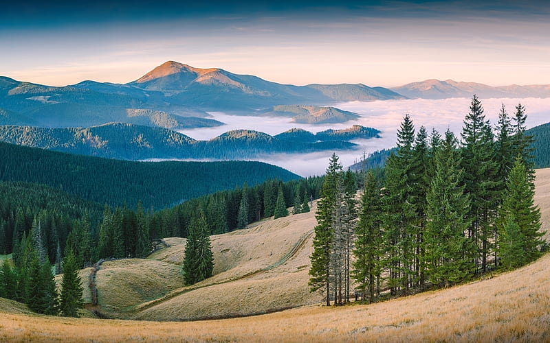 Carpathian Mountains in Ukraine, Ukraine, landscape, national park, mountains, HD wallpaper