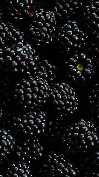 blackberries wallpaper