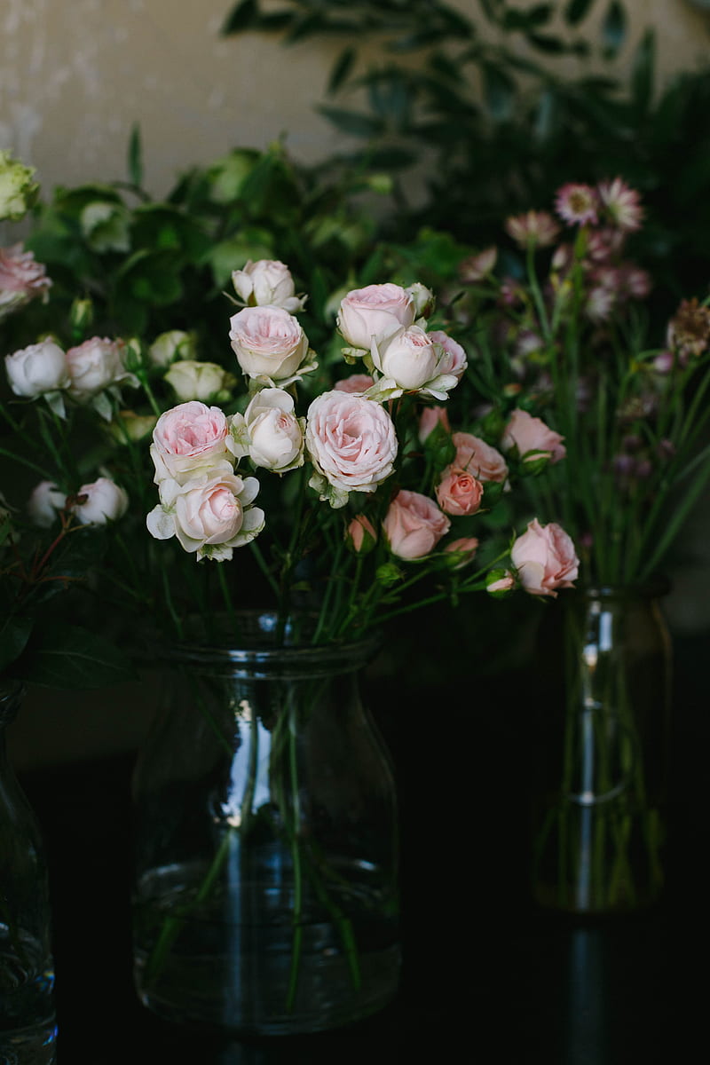 White rose flowers in vase, HD phone wallpaper | Peakpx