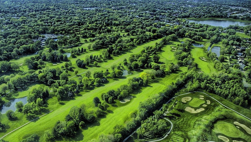 lovely green golf course, grass, town, golf, course, trees, HD wallpaper