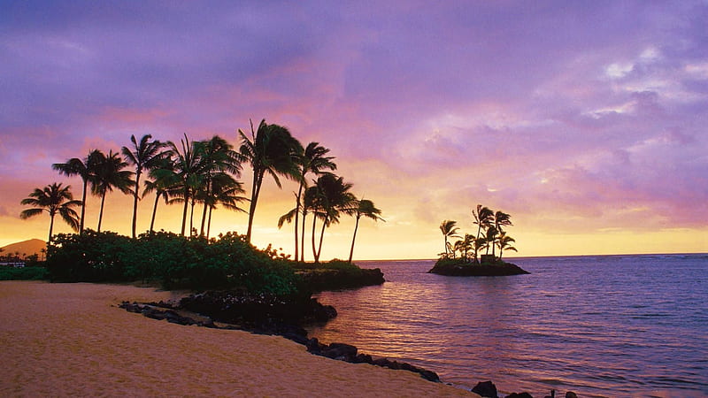 Wai-Alae Beach Park, Oahu, Hawaii, Palms, sunset, clouds, sky, sea, HD wallpaper