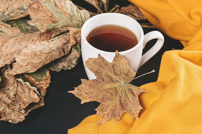 tea, cup, autumn, maple, leaves, HD wallpaper