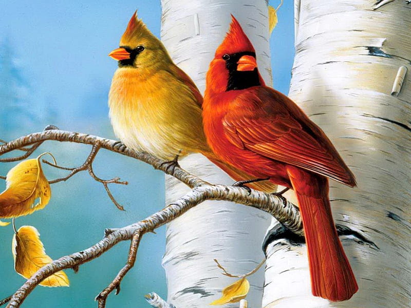 Cardinals and birch-detail, colorful, art, lovely, birch, bonito, sky, winter, sweet, cute, cardinals, tree, leaves, nice, painting, friends, HD wallpaper