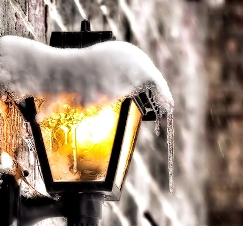 Frozen Lantern, Snow, Lantern, Ice, Winter, HD wallpaper