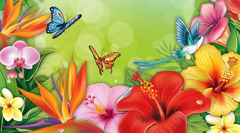Tropical Heaven, colorful, plumeria, butterflies, hummingbird, orchids, frangipani, bright, summer, flowers, tropical, HD wallpaper