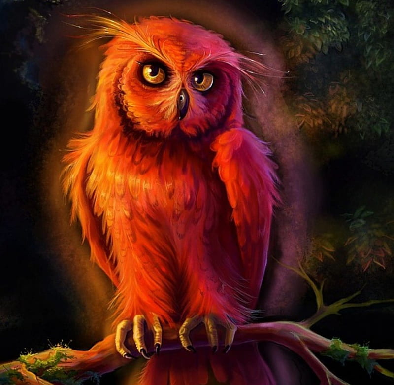 Bright Orange Owl, owl, art, claws, bright, branch, night, HD wallpaper