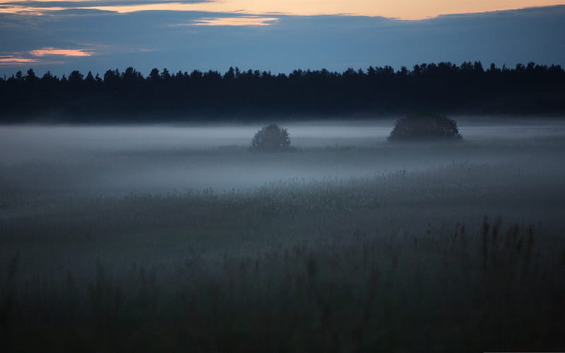early morning fog-Beautiful natural scenery, HD wallpaper