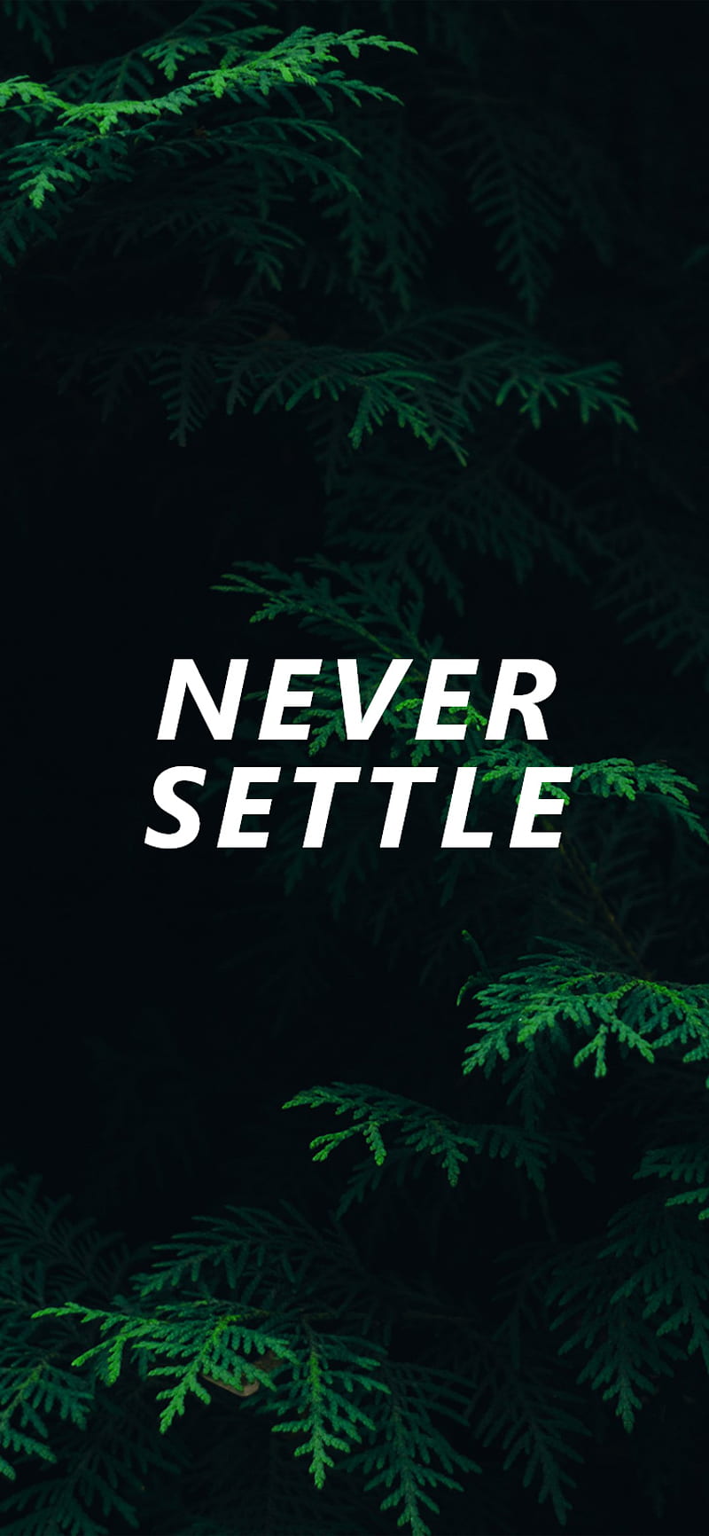 NEVER SETTLE 1, aerial, drone, iphone, iphone x, nature, never settle, HD phone wallpaper