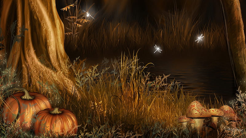 Autumn Pumpkins, toadstools, forest, fall, autumn, grass, firefox persona, trees, pond, harves, dragonflies, mushrooms, night, HD wallpaper