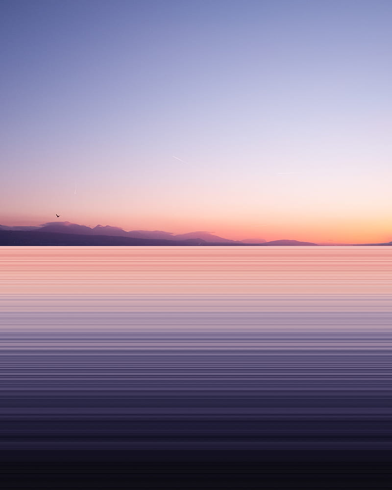 lake, shore, bird, dusk, long exposure, HD phone wallpaper