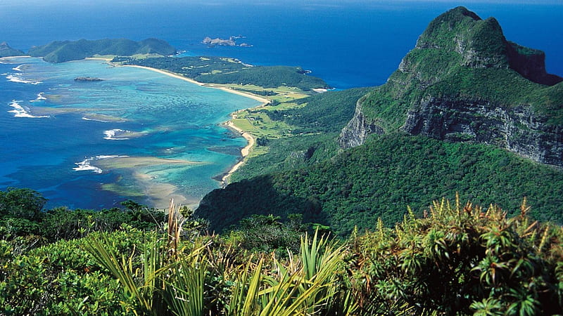 Lord Howe Island, forest, ocean, tasmania, howe, nature, island, landscape, HD wallpaper