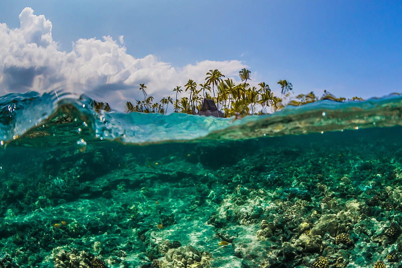 Underwater Reef off Puuhonua O Honaunauat Big Island Hawaii, polynesia,  sea, HD wallpaper | Peakpx