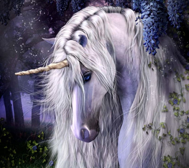 Unicorn, fantasy, HD wallpaper