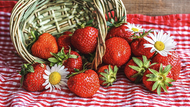 Fruits, Strawberry, Basket, Berry, Chamomile, HD wallpaper