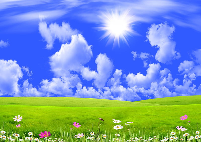 Spring Meadow, sun, grass, spring, sky, green, flowers, sunshine, field, meadow, HD wallpaper