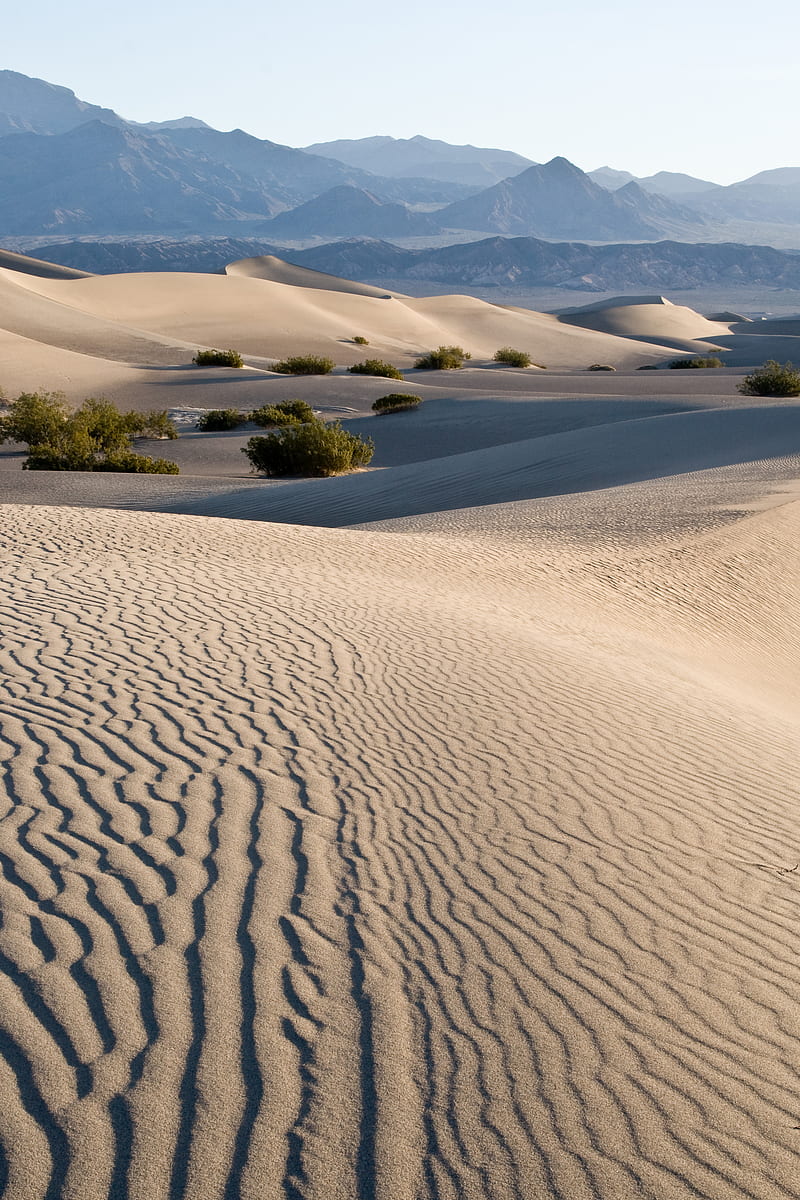 sand, desert, rocks, waves, trace, HD phone wallpaper