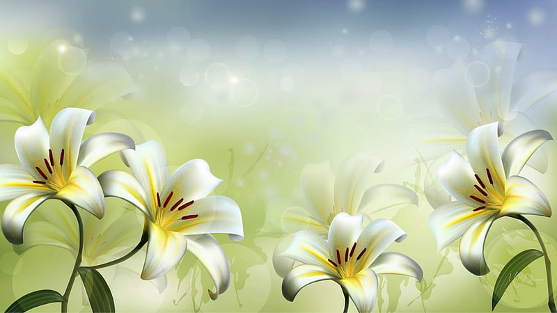 White Lilies, Easter, summer, flowers, lilies, Firefox Persona theme, HD wallpaper