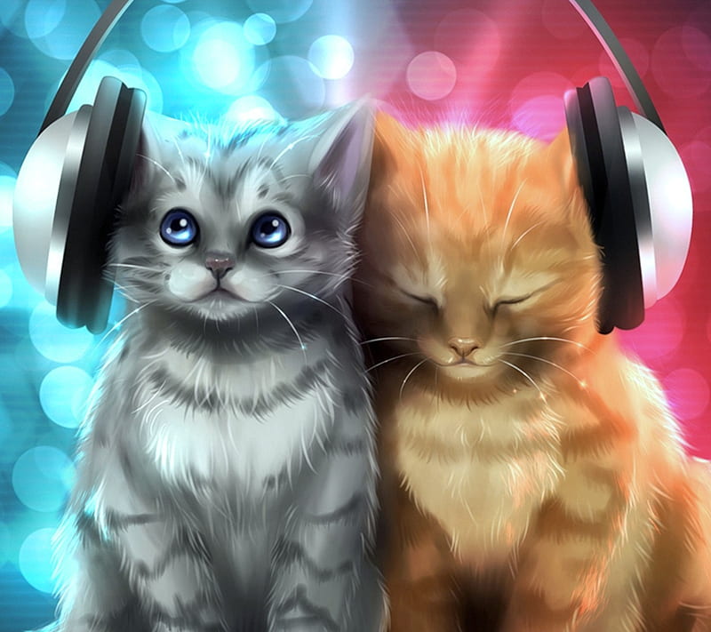 Kittens, cat, headphones, kitten, music, HD wallpaper