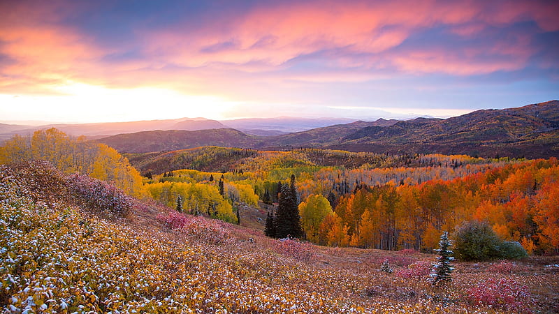Buffalo Pass, Steamboat Springs, Colorado, leaves, autumn, colors, sunset, sky, clouds, trees, landscape, HD wallpaper