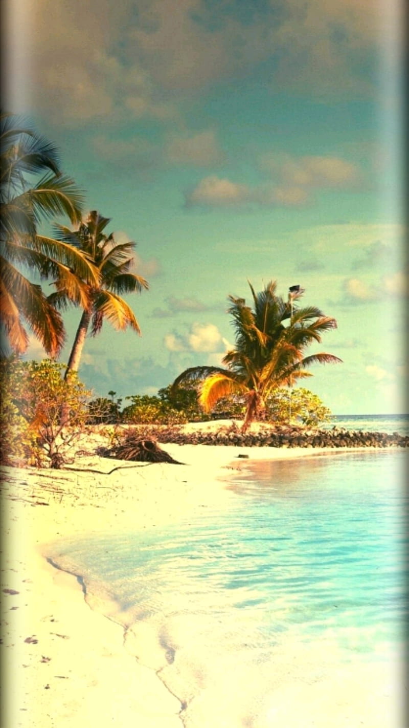 Palm trees, beach, edge, old, s7, sea, summer, HD phone wallpaper