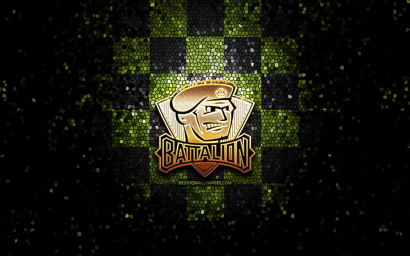 North Bay Battalion, Canadian ice hockey club, OHL, green logo, burgundy  carbon fiber background, HD wallpaper