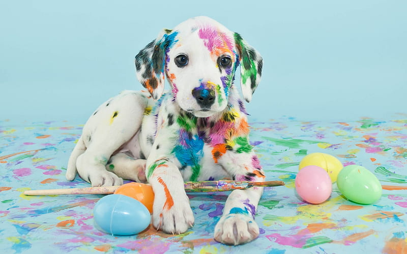 little Dalmatian, white puppy, paint, cute animals, artist, pets, dogs, Dalmatian, HD wallpaper