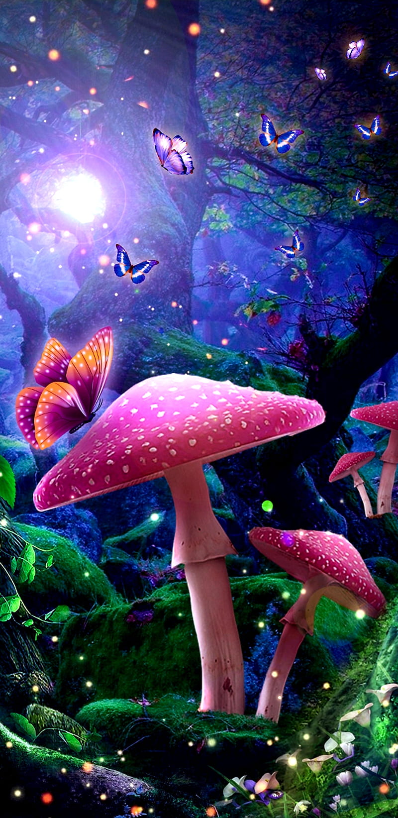 Fantasy fairytale , mushrooms, mushroom, galaxy, bonito, pretty, girly, magical, colorful, HD phone wallpaper