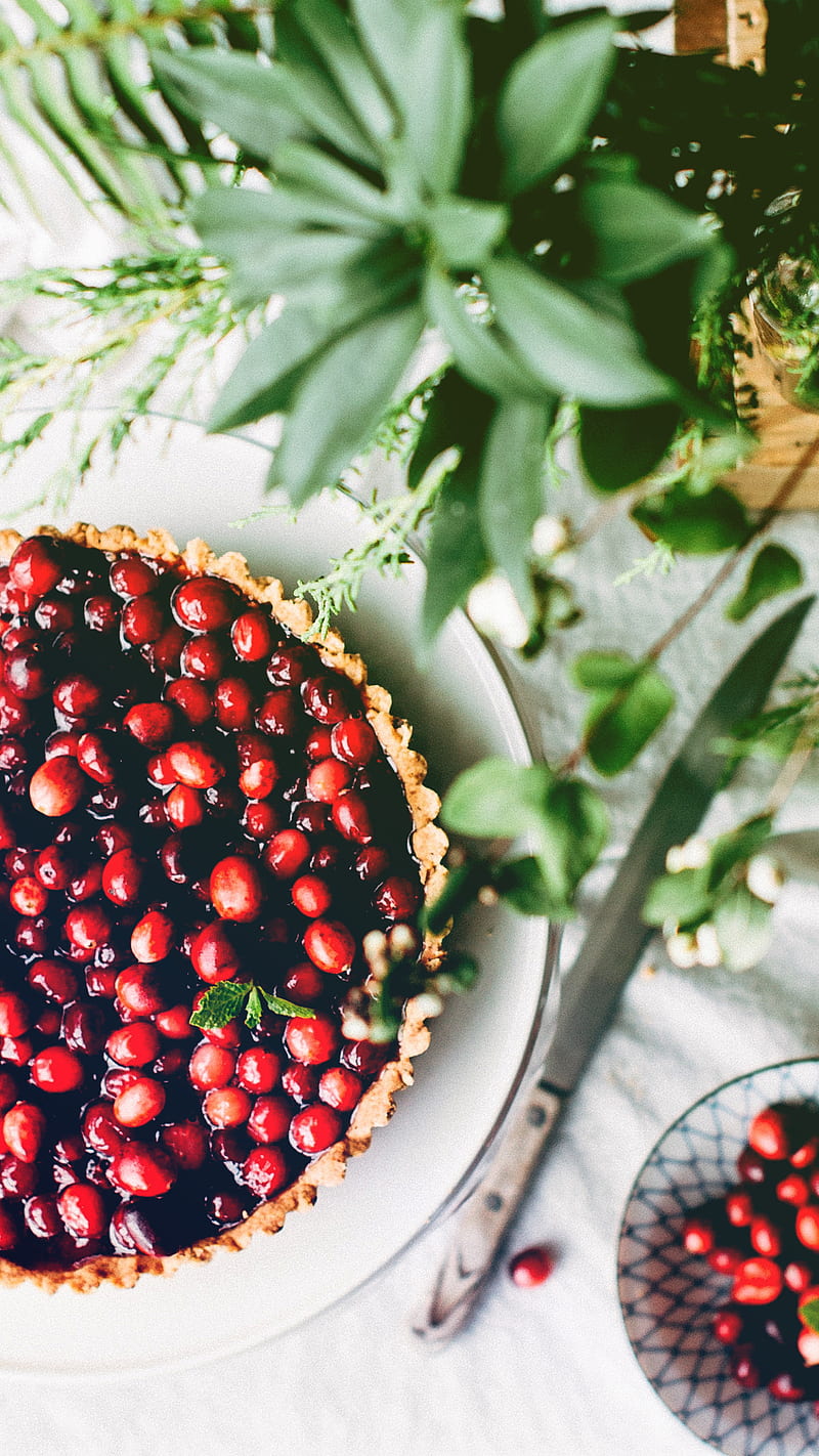 Cranberry Pie, thanksgiving, food, holiday, hungry, thanks18, HD phone wallpaper