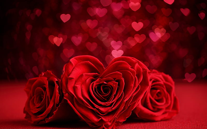red roses heart, romance, Valentine's Day, February 14, roses, romantic holidays, HD wallpaper