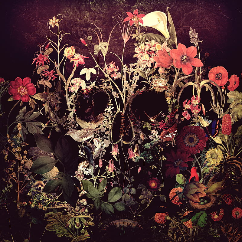 Bloom Skull, Ali, art, digital, floral, flower, illustration, sugar skull, HD phone wallpaper