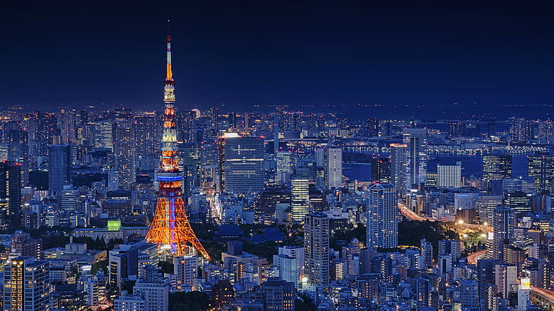 japan tokyo, night, cityscape, buildings, City, HD wallpaper